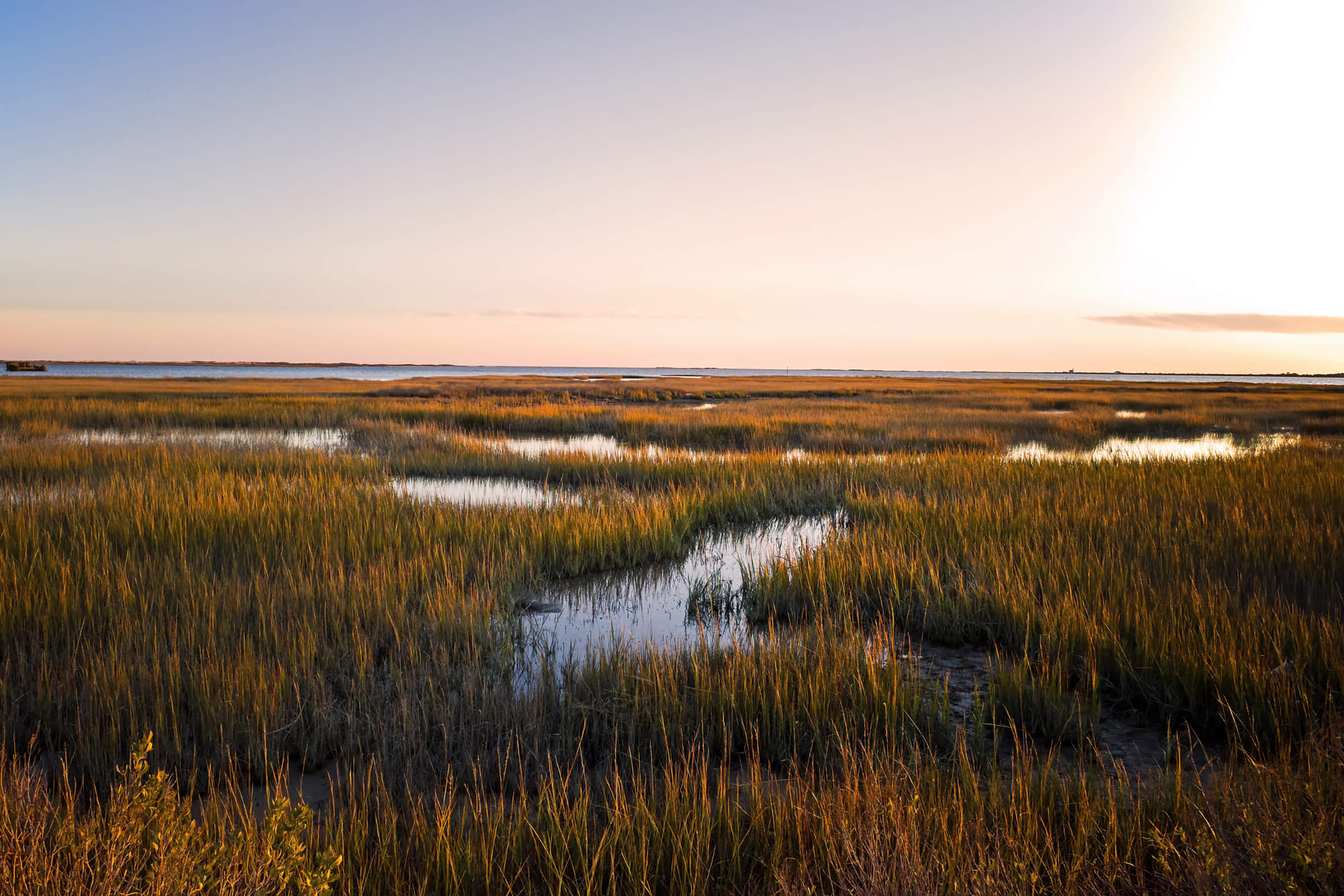 A tranquil marsh landscape with water channels winding through golden-green grasses under a soft, gradient sunset sky.