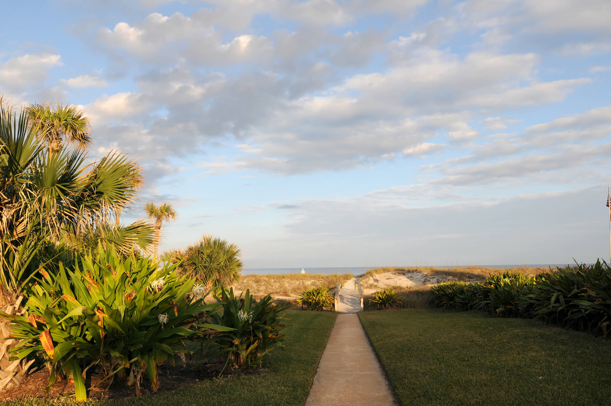 A concrete walkway leading through green vegetation and palm trees toward a sandy beach and the ocean under a cloudy sky.