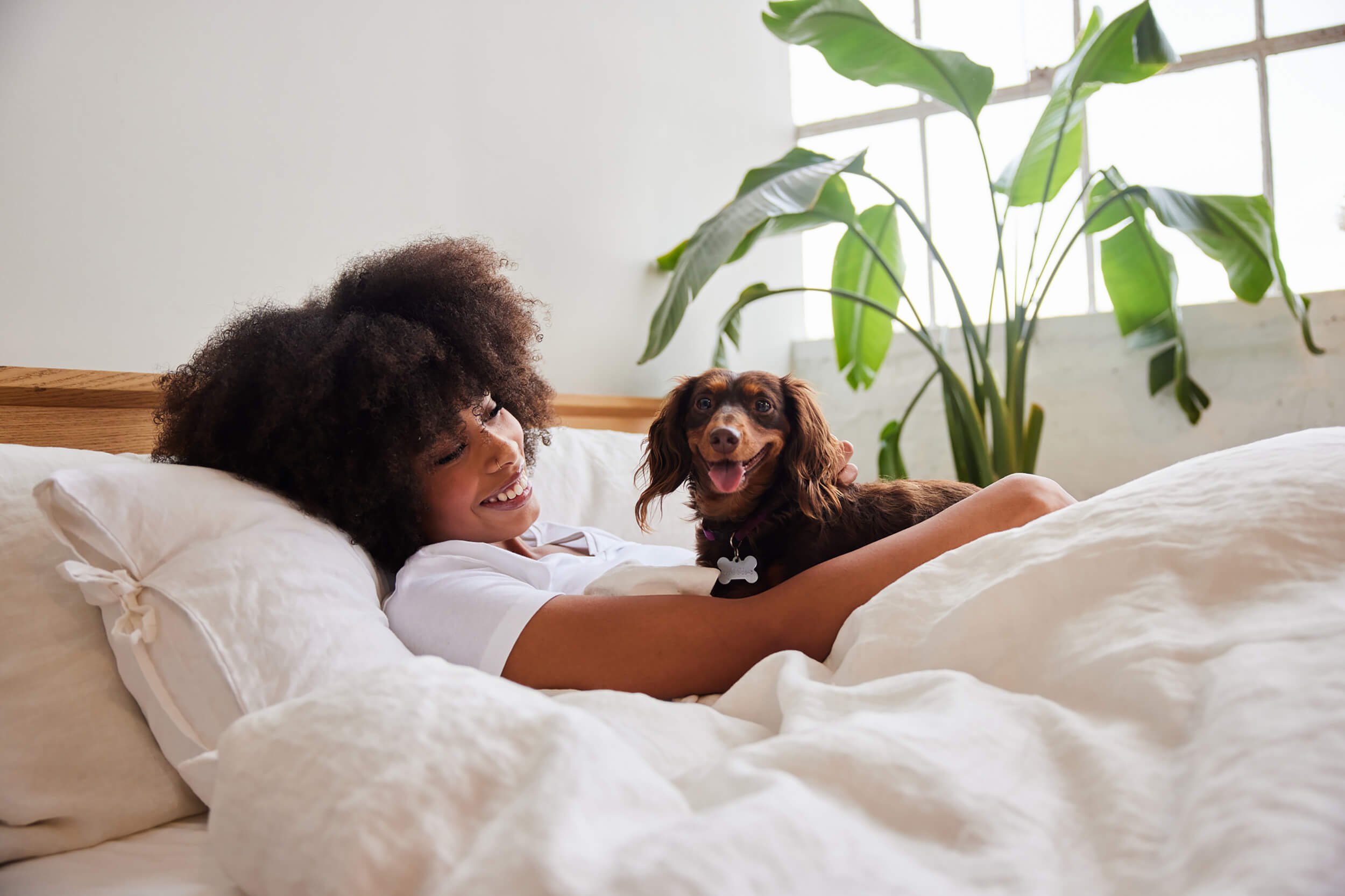 A woman with an afro smiling in bed while cuddling a small brown dachshund.