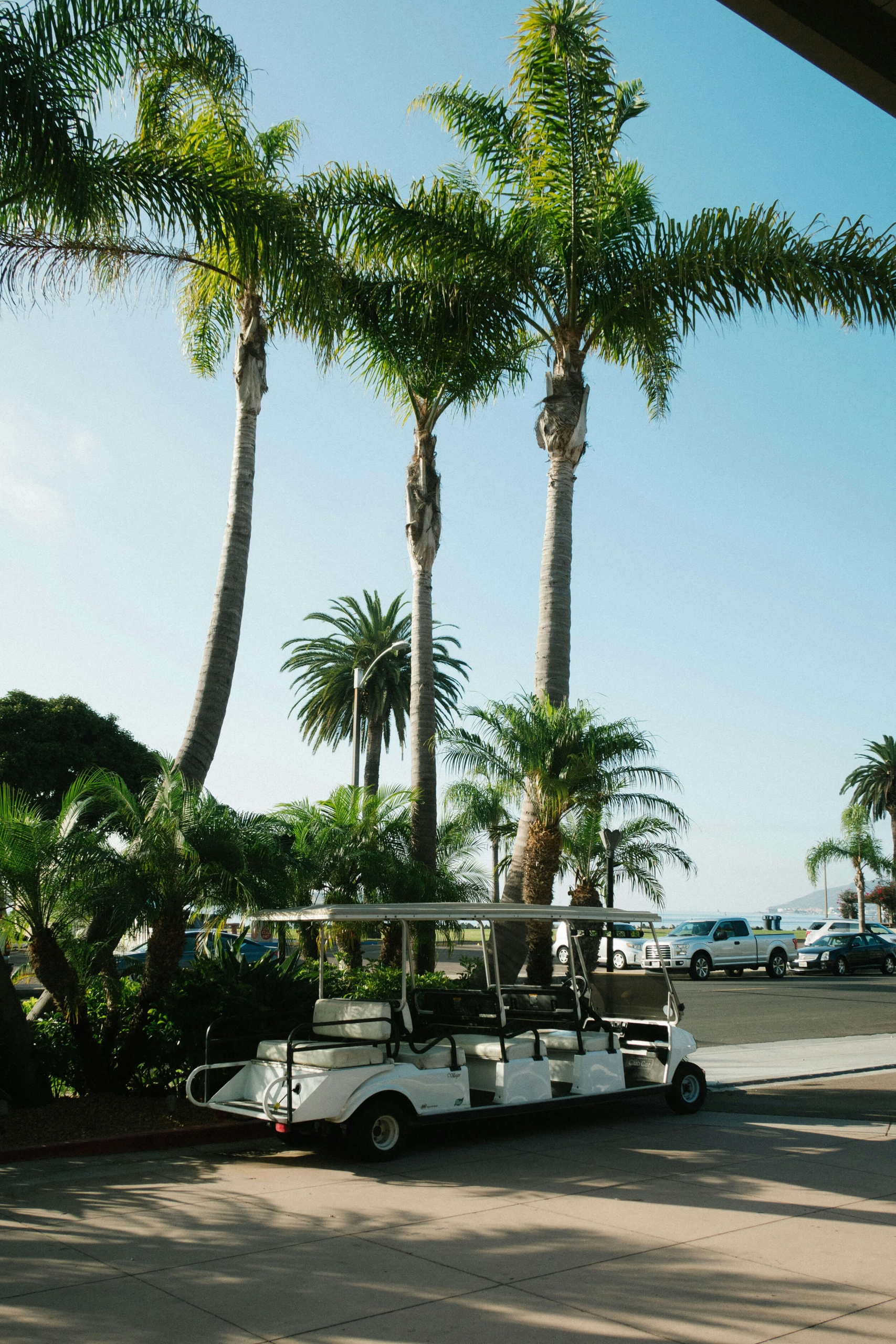 A long white multi-passenger golf cart parked under tall palm trees near a coastal road.