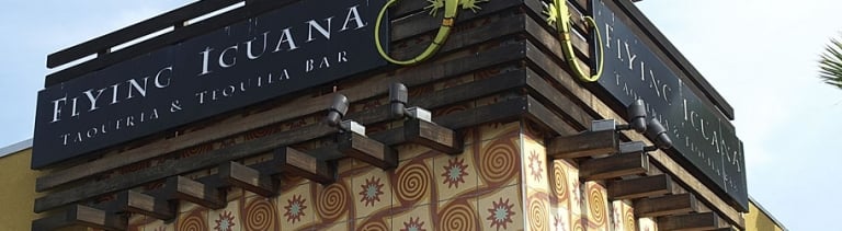 Flying Iguana