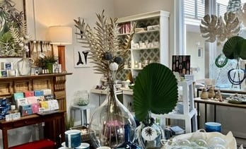 Palmetto Classic Home Fun
